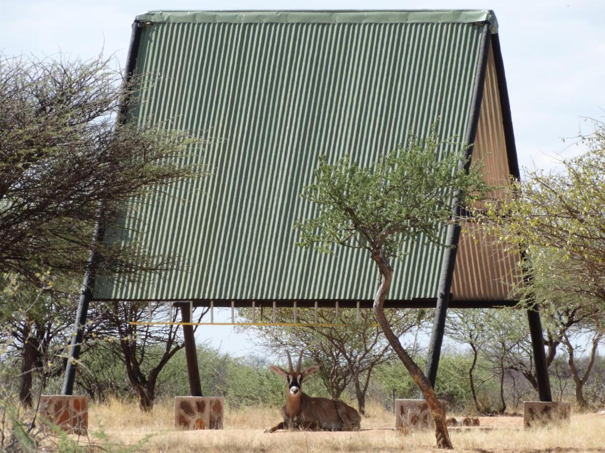 Ovita Wildlife Restcamp Okazize Exterior foto